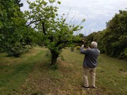 Atelier photos dans le jardin